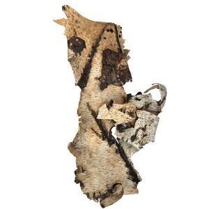 Large Birch Bark Sheet 26x19 Natural Birch Bark For Air Plant Mount Orchid Mount